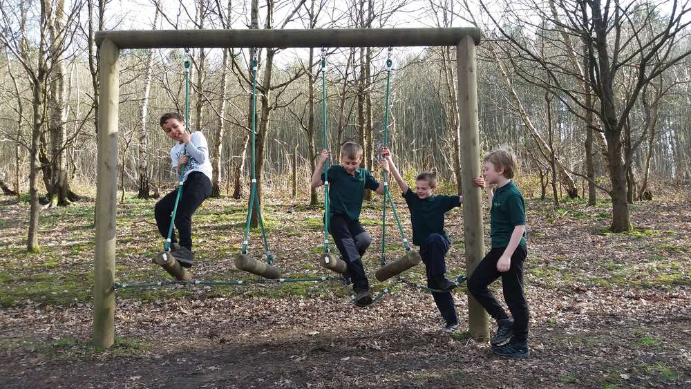 Cub Spring Pack Holiday - Back To Basics